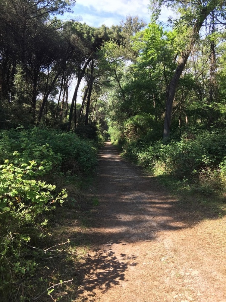 pinenta di levante vie interne: