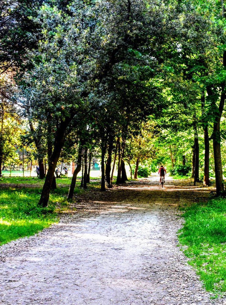 pineta di ponente viareggio stradina