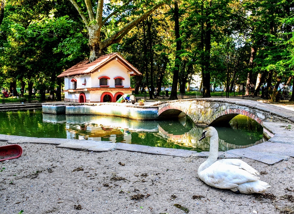 viareggio laghetto dei cigni 
