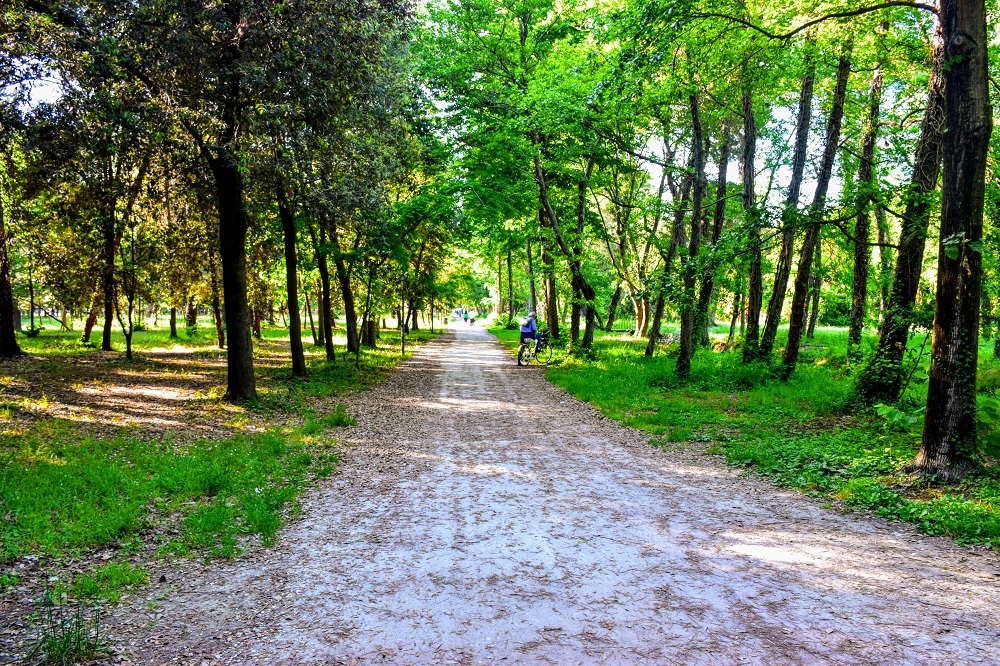 viareggio pineta di ponente