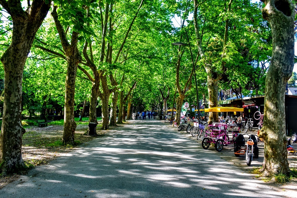 viareggio pineta di ponente